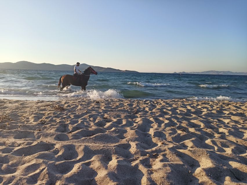 Kos: Horse Riding Experience on the Beach with Instructor - Small-group feel: safety without making it stiff