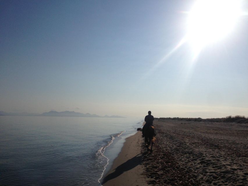 Kos: Horse Riding Experience on the Beach with Instructor - Who this is for, and who should think twice