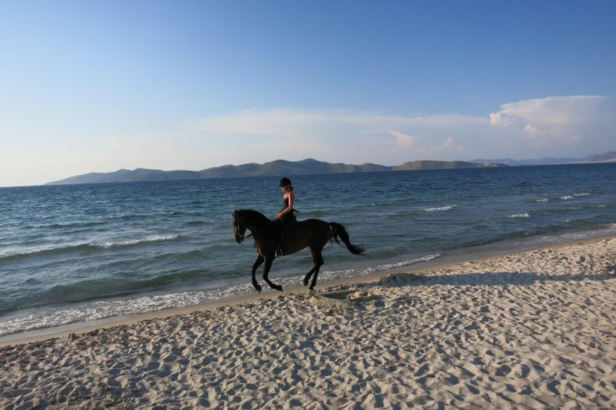 Kos: Horse Riding Experience on the Beach with Instructor - What to bring (and what to do before you go)