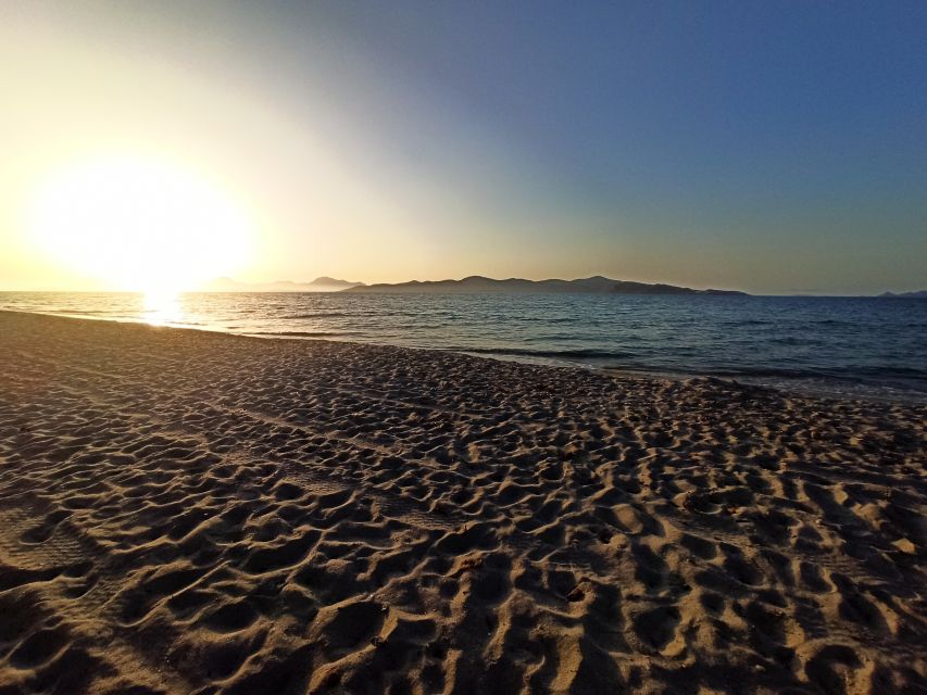 Kos: Horse Riding Experience on the Beach with Instructor - Price and value: what you get for about $88