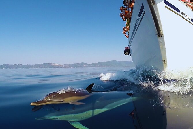 Kos: Small Group Full-Day Sailing with Meal, Drinks, & Swim - Why the Small Group Format Feels Better at Sea