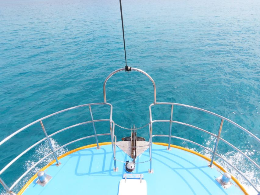 Kos Town: Glass-Bottom Boat Cruise with Swimming Stops - Price and value for $23: what you are really buying