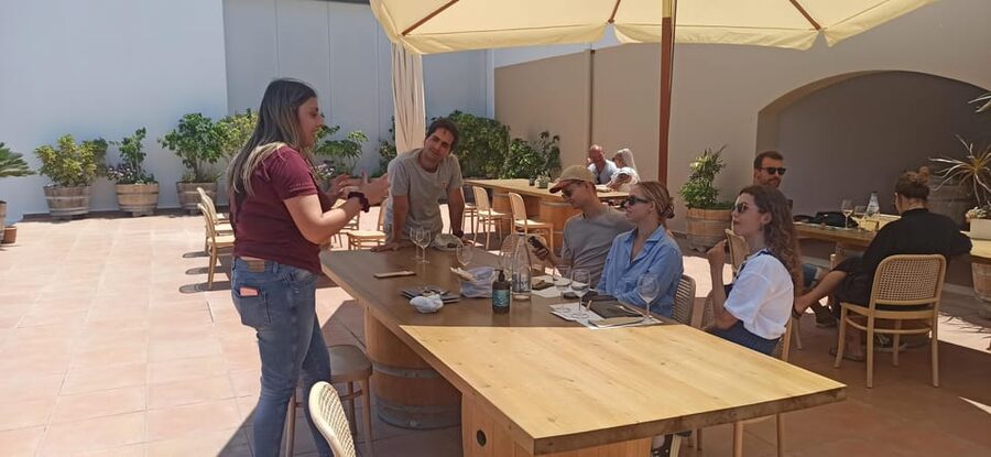 Kos: Wineries Tour w/ Wine Tastings & Transportation - Price and Value: Is $64 Worth It?