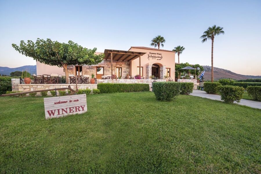 Kos: Wineries Tour w/ Wine Tastings & Transportation - Who This Tour Fits Best (and Who Might Skip It)