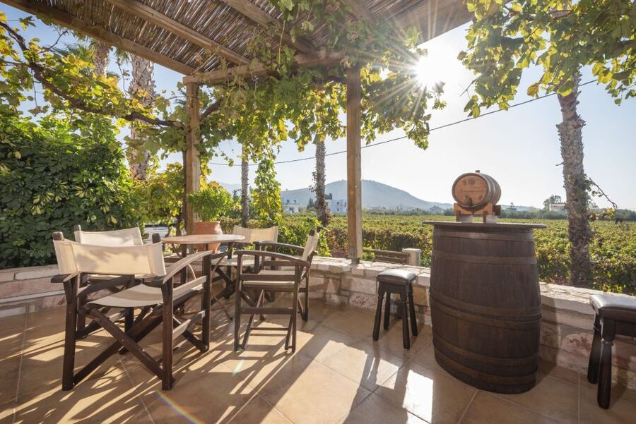 Kos: Wineries Tour w/ Wine Tastings & Transportation - Stop One at Hatziemmanouil: Tour, Vineyard Time, and Tastings