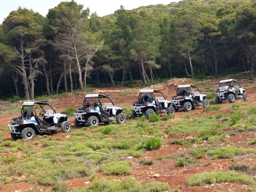 Laganas: Off-Road Buggy Adventure in Zakynthos with Lunch - Price and Value: Is $412 for Up to 2 People Fair?