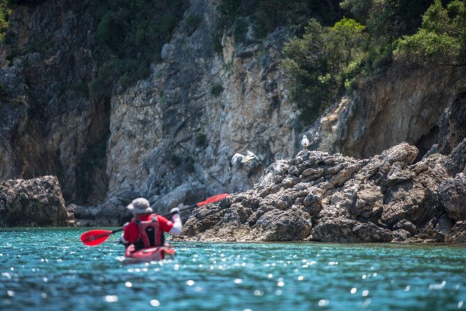 Lefkada Kayak : Explore Blue Cave with a Taste of Greece - Guides, Gear, and Safety on the Water with Trekking Hellas
