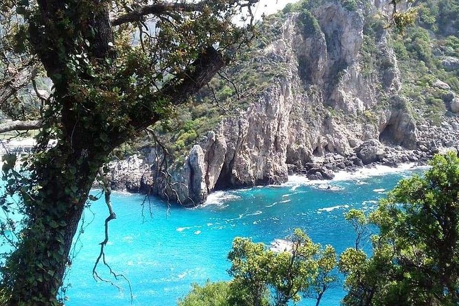Leisurely Tour of Corfu - Meeting Point to Onboard Sound, Tight Roads and Small-Group Feel