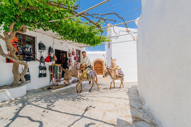 Lindos by Express MiniBus (Small Group) - Practical tips that make Lindos easier (and more fun)