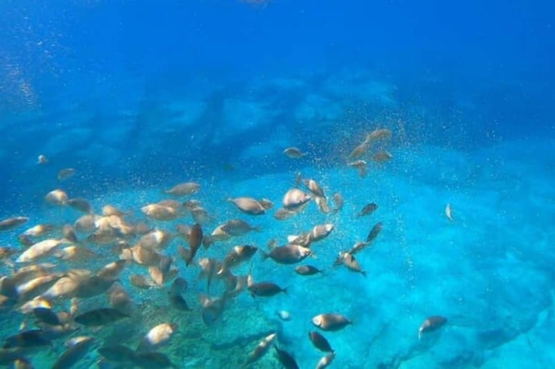 Lindos: Submarine Cruise with Swimming Stop at Navarone Bay - Key Things That Make This Cruise Work So Well