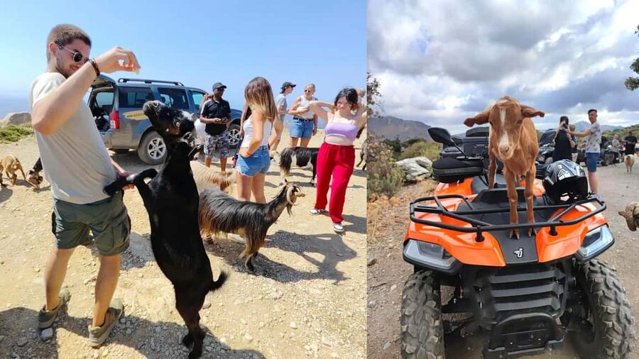 Malia: Off-Road Quad Safari Tour with Lunch and Transfers - Transfers From Malia and the Pickup Reality