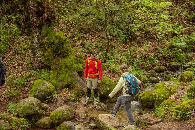 Meteora Small Group Hiking tour with Transfer and Monastery Visit - The 2-hour rock forest hike: where the day becomes real