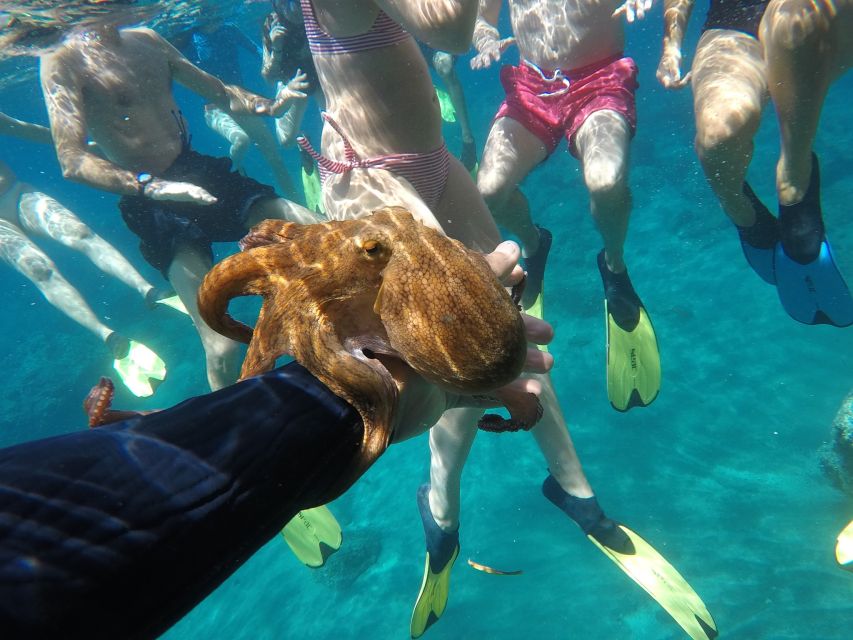 Milos: Half-Day Speedboat Cruise to Klefiko with Snorkeling - Price and logistics: is $159 actually good value?