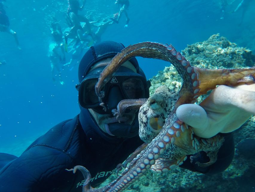 Milos: Half-Day Speedboat Cruise to Klefiko with Snorkeling - West Milos cruise: the classic route from Adamas at 08:30 or 14:30