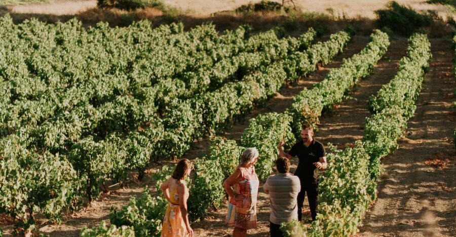 Milos Island: Kostantakis Winery Wine Tasting Experience - The tasting flight: seven wines plus a grape distillation