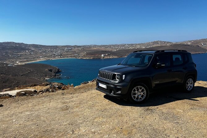 Mykonos Discovery : Half or Full Day Private Tour - The guiding style, and why people mention Leo, Thanos, and Thelos