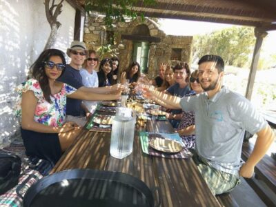 Farm, Ano Mera Village, and Beaches Guided Tour