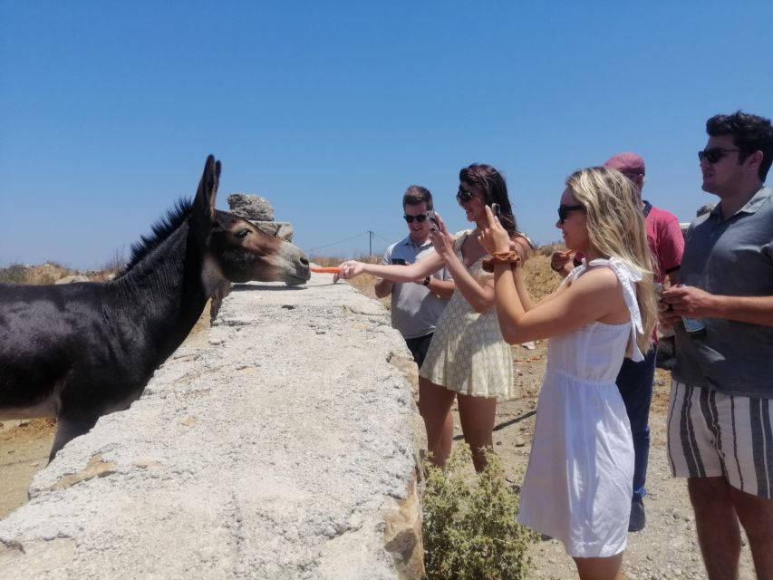 Mykonos: Highlights Tour with Panagia Tourliani Monastery - Key highlights you will actually care about