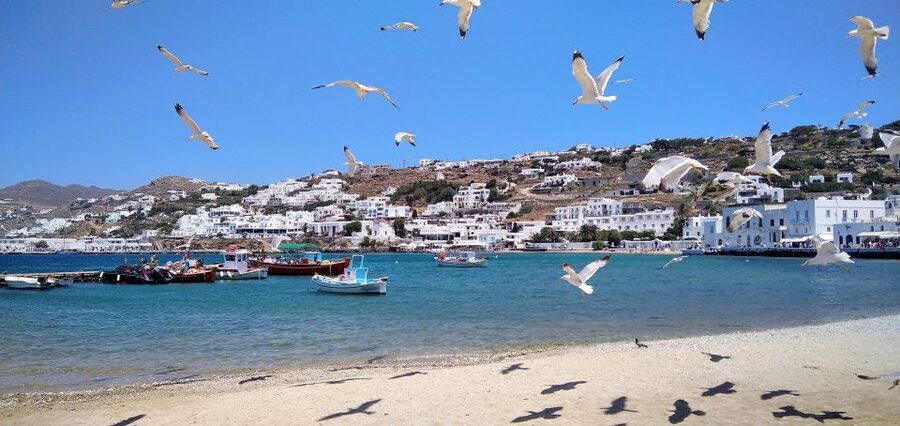 Mykonos: Highlights Tour with Panagia Tourliani Monastery - The car portion: Agios Ioannis and the view toward Delos