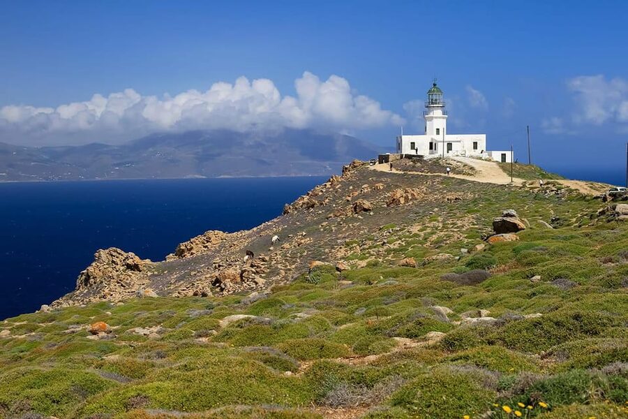 Mykonos: Private Tour Island With A Local - Kalafatis, Livadi, and the south-coast coastline rhythm