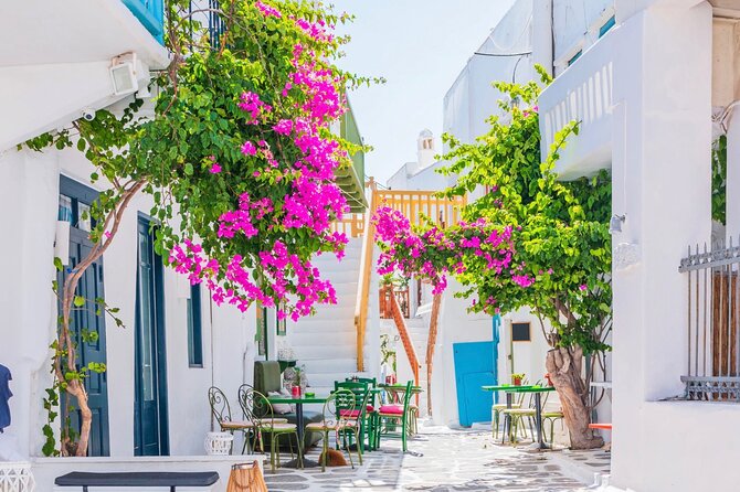 Mykonos Small Group Tour for Cruise Passengers - Port Pickup - Value for $120.93: What You’re Actually Paying For