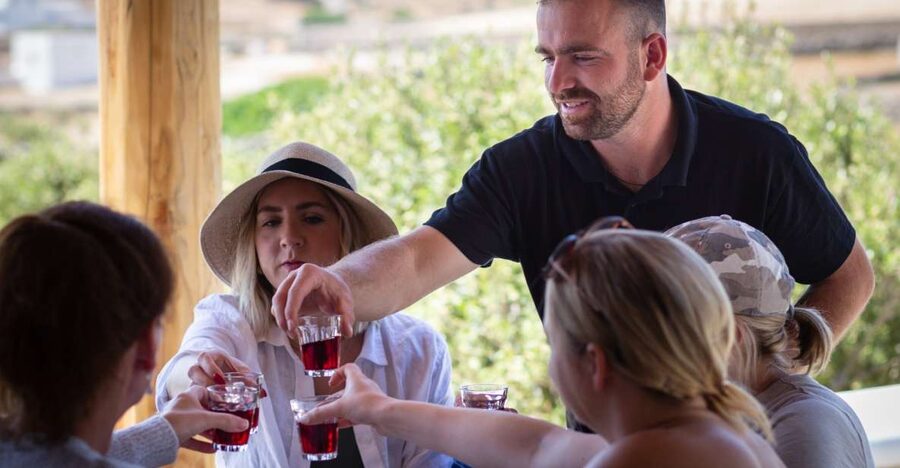 Mykonos: Winery Vineyard Experience with Food & Wine Tasting - Key Highlights You’ll Feel Right Away