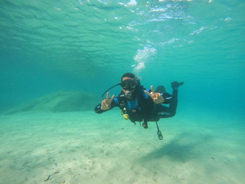 Naxos: Discover Scuba Diving on Agios Georgios Beach - Agios Georgios beach setup: why this Naxos location works for beginners