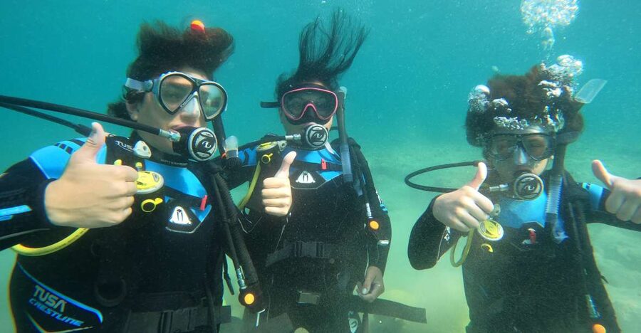 Naxos: Discover Scuba Diving on Agios Georgios Beach - Marine life near Naxos: what you can hope to see at shallow depth