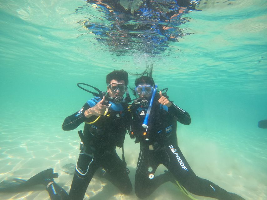 Naxos: Discover Scuba Diving on Agios Georgios Beach - Price and value at about $106 per person