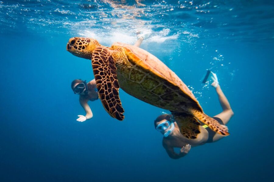 Naxos: Discover Scuba Diving on Agios Georgios Beach - Equipment and instructor support: what makes this feel manageable