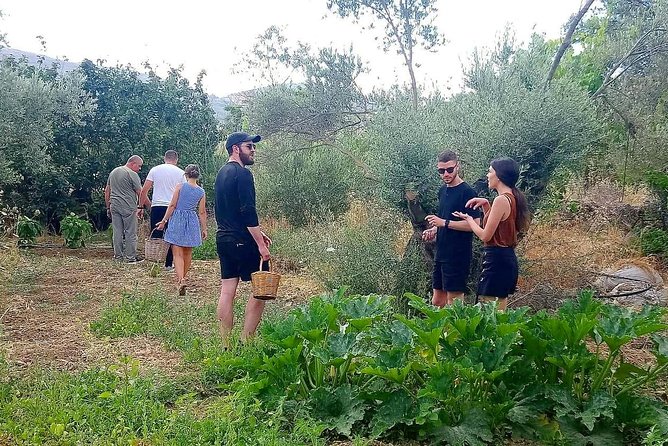 Naxos:Half-day cooking class at Basiliko - Herbs, Aromatics, and the Secrets You Cannot Copy From a Recipe