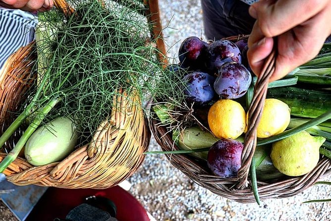 Naxos:Half-day cooking class at Basiliko - The Feast Part: Lunch, Dinner, Wine, and Traditional Music