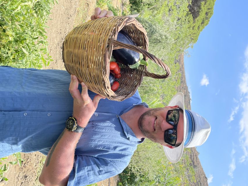Naxos: Half-Day Cooking Class at Basiliko Family Tavern - The Feast: Wine, Starters, Traditional Music, and Family-Style Eating