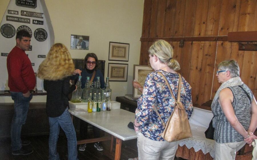 Naxos: Highlights Full-Day Tour by Bus - Guides and drivers: why the human side can make or break the day