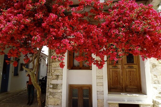 Naxos: Highlights of Naxos Day Tour - Apollon by the Sea, Then Apollonas Kouros and 56 Steps