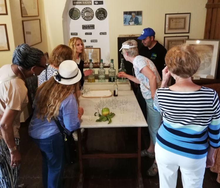 Naxos Island: Full-Day Historical Bus Tour - The Apollonas Kouros: What to Notice Before You Move On