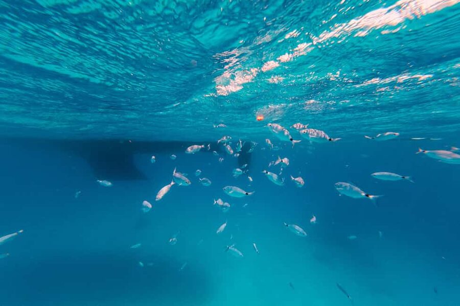 Naxos: Sailing Cruise with Lunch & Drinks - The sailing day itself: how the route usually feels