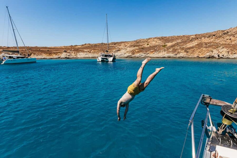 Naxos: Sailing Cruise with Lunch & Drinks - Snorkeling gear, marine life, and how to do it right