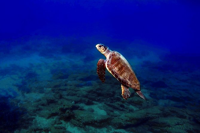 Nima Diving Center, Naxos, Greece - Shore-Entry to 6 Meters: Your Actual Water Time