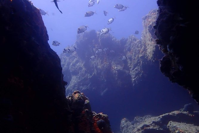 Nima Diving Center, Naxos, Greece - The Pre-Session PADI Setup: Your Phone Matters