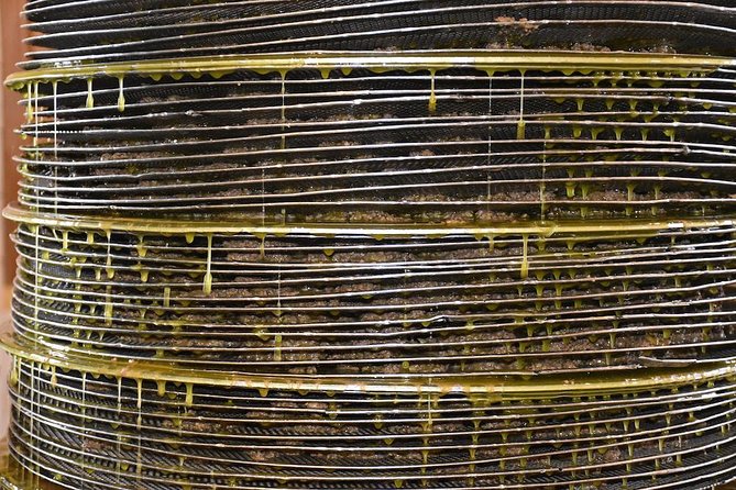 Olive Oil Tasting Tour - Why Koronekes and Epano Archanes makes a smart olive oil stop