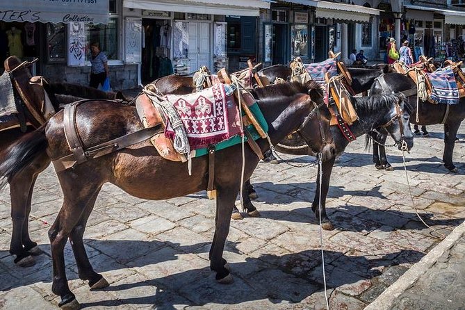 One Day Cruise to Hydra, Poros and Aegina from Athens - Hydra on foot: cobblestones, donkeys, and the 2-hour window reality