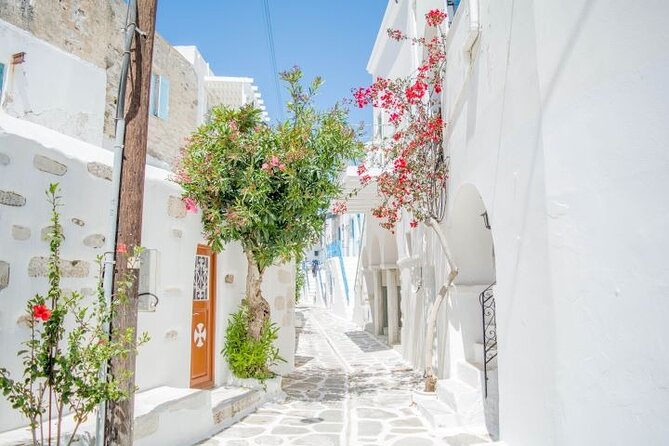 Paros & Antiparos Full-Day Discovery Guided Tour in English - Price and Value: Why This Costs $74 and What Makes It Worth It