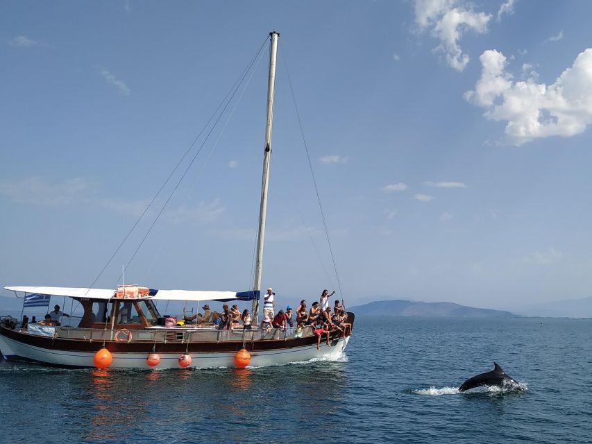 Preveza: Dolphin Watching Cruise with Lunch and Drinks - Key highlights to know before you sail