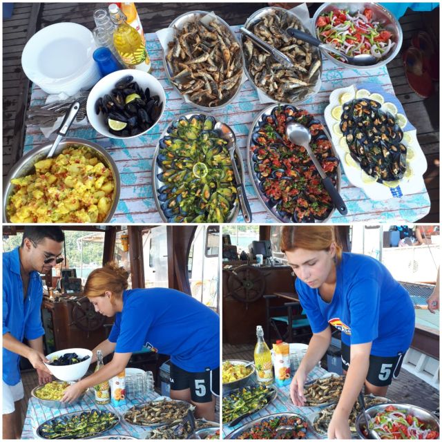 Preveza: Dolphin Watching Cruise with Lunch and Drinks - Why the Amvrakikos Gulf is a dolphin hotspot near Preveza