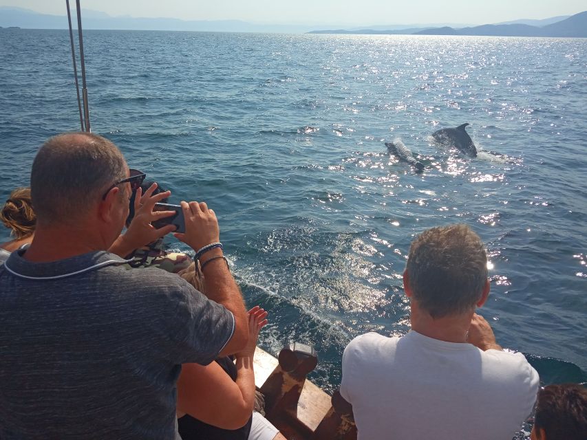 Preveza: Dolphin Watching Cruise with Lunch and Drinks - Fish farms, fishermen, and dolphin spotting that feels like a real Gulf