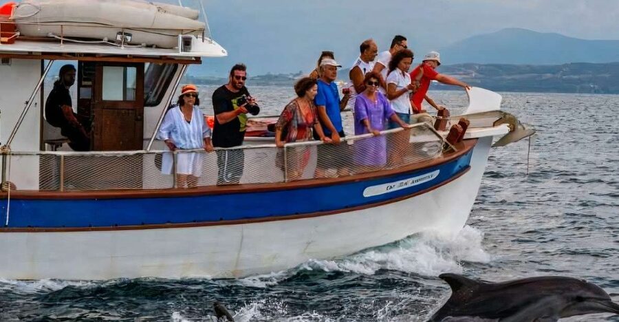 Preveza: Dolphin Watching Cruise with Lunch and Drinks - The photo stop and wildlife viewing moments you will actually remember
