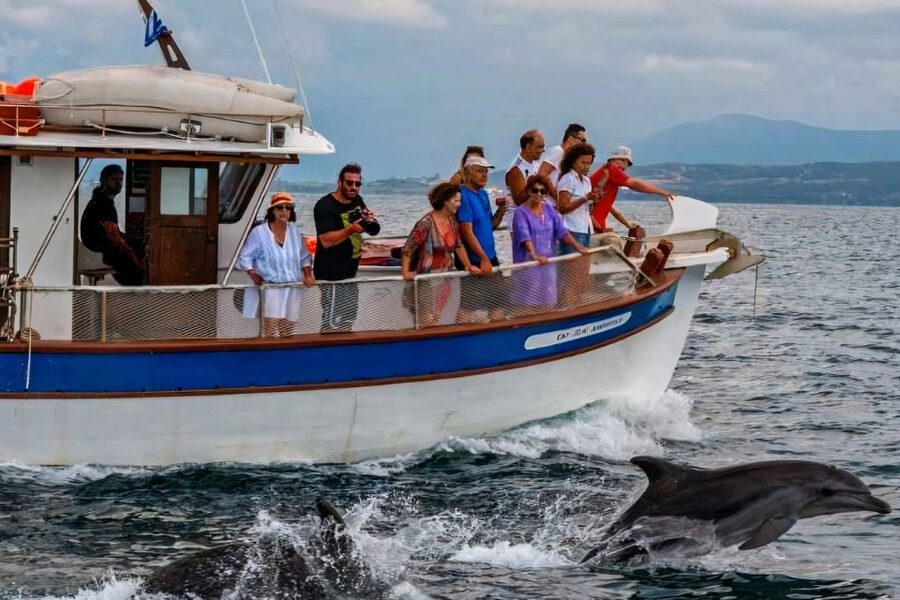 Preveza: Dolphin Watching Cruise with Lunch and Drinks - How the guide names and energy shape what you take away