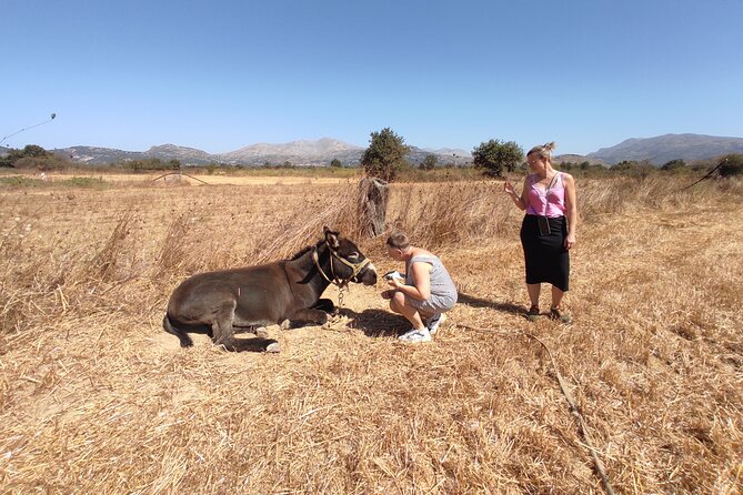 Private Jeep Tour - Zeus Cave - Cretan villages - Pickup, Vehicle Comfort, and How the Day Flows
