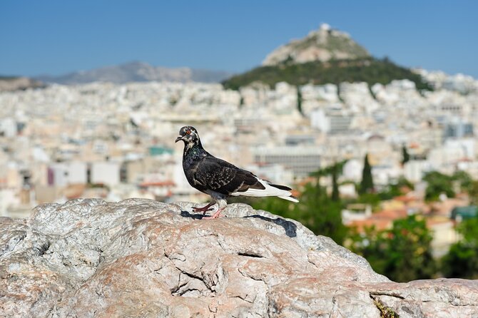 Private Luxury Biblical Tour: Apostle Paul in Athens & Corinth - Pickup and car logistics in Athens, and why it matters on a long day
